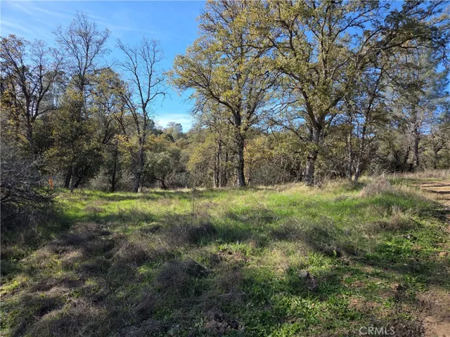 0 12.19 Ac Road 222, North Fork, California 93643