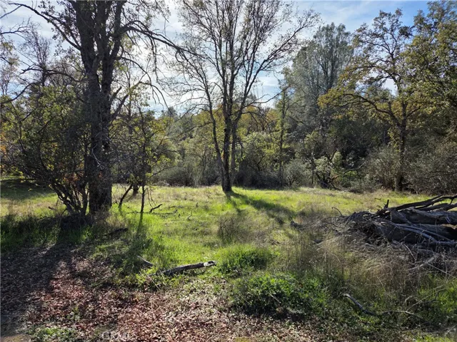 0 12.19 Ac Road 222, North Fork, California 93643
