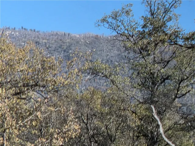 0 12.19 Ac Road 222, North Fork, California 93643