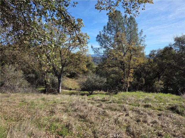 0 12.19 Ac Road 222, North Fork, California 93643