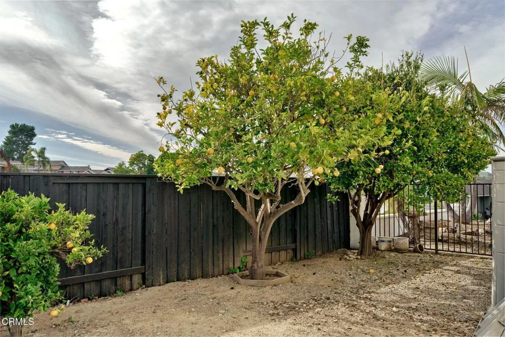 1020 Via Cielito, Ventura, California 93003 home-pic-49