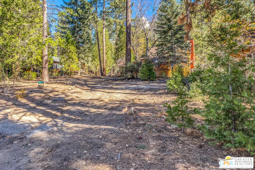 25250 Rim Rock Road, Idyllwild, California 92549 home-pic-11
