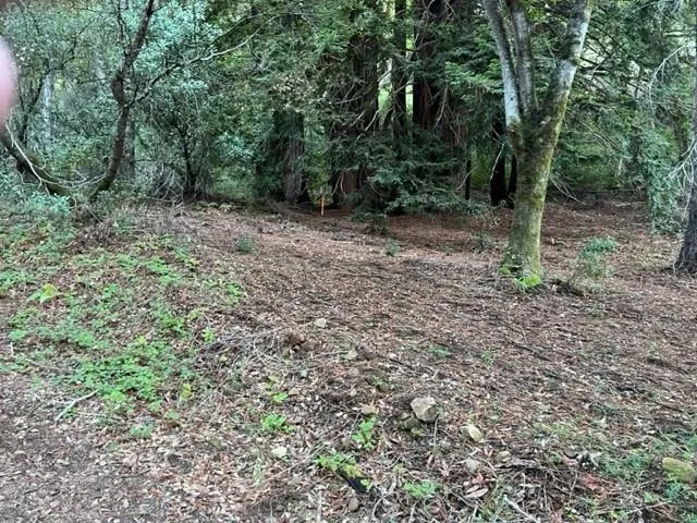 0 Redwood Retreat Road, Gilroy, California 95020 — photo 5