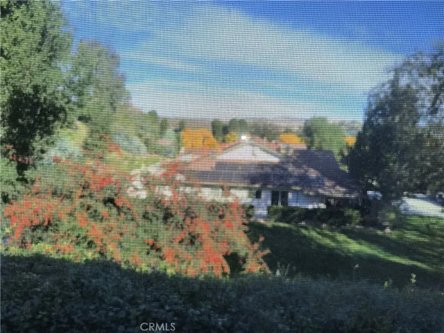 View from Enclosed Patio