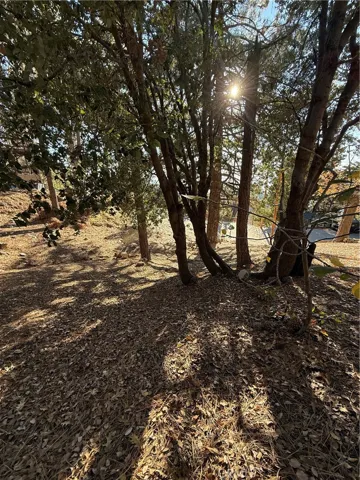 Mid property angle