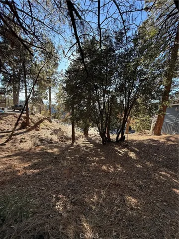 Mid property looking down