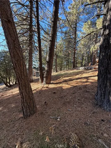 Top of property view