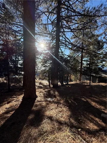 Looking down from top of property