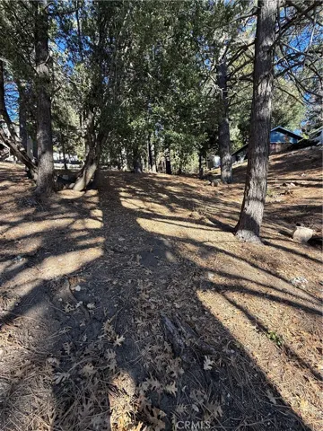 Standing towards the base of property looking upwards