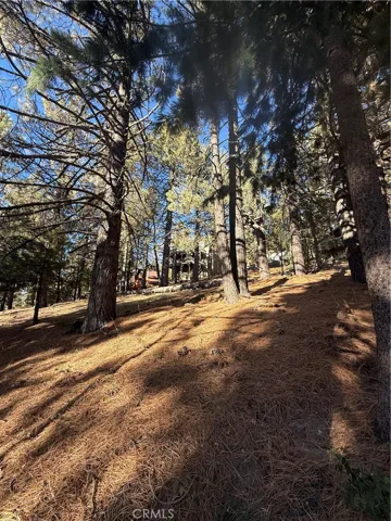 Looking upwards on property