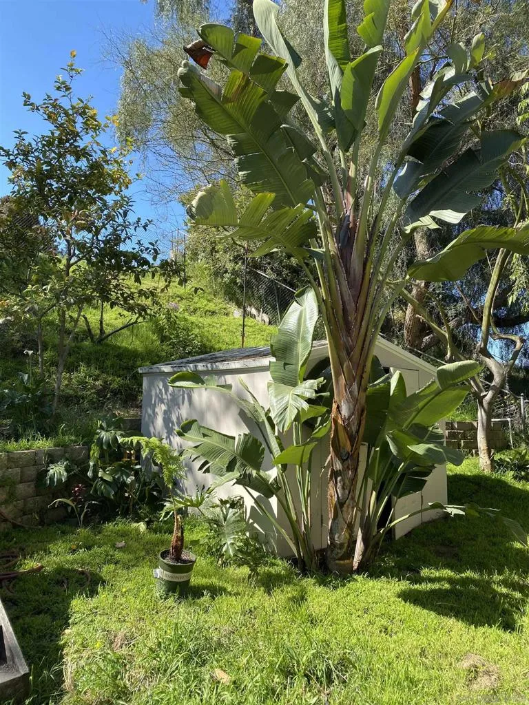 5015 Macario Dr, Oceanside, California 92057 home-pic-1