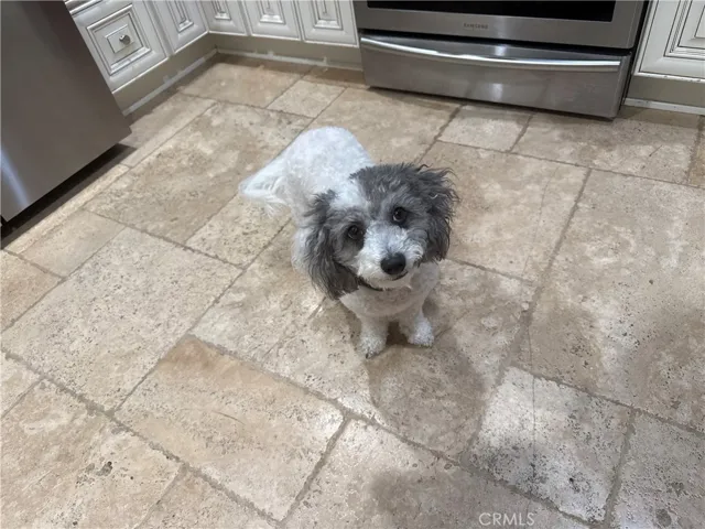 PET”s friendly park!