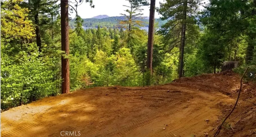 525 Ca-173, Lake Arrowhead, California 92352 — photo 4