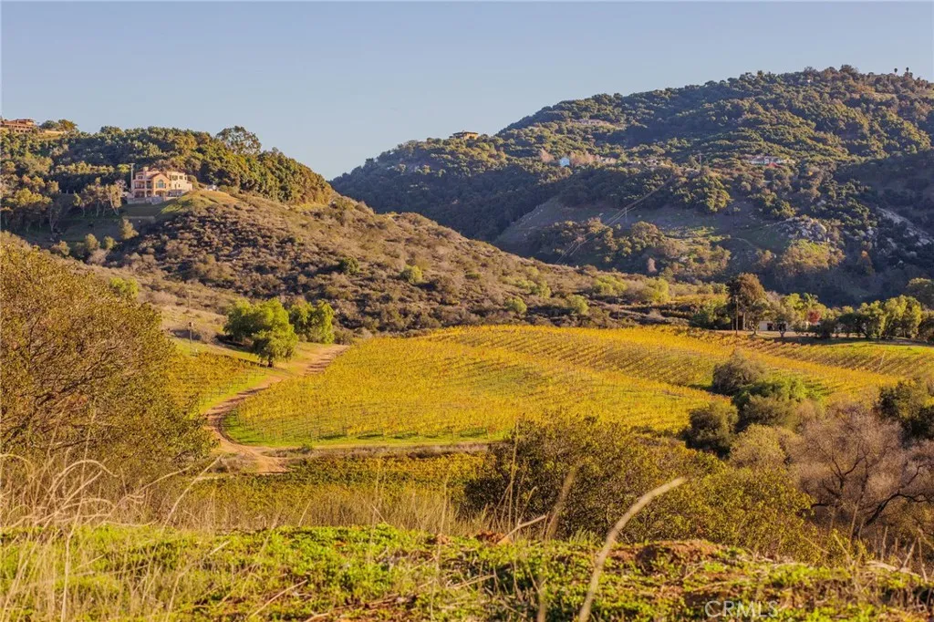 31331 Rancho Amigos, Bonsall, California 92003 home-pic-60