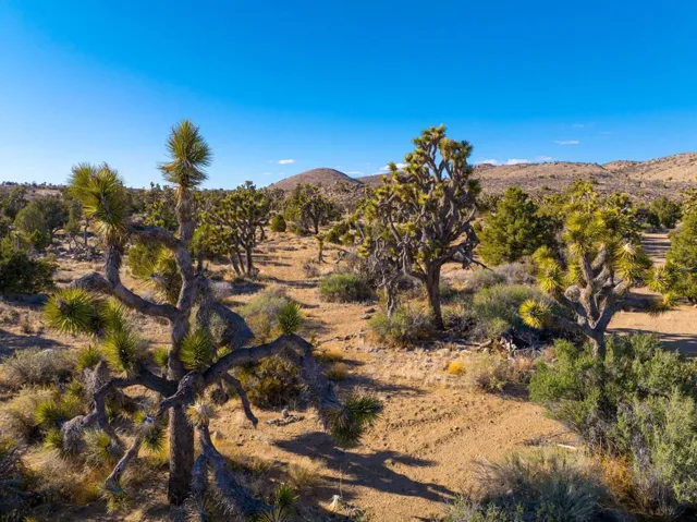1102 Burlington Road, Pioneertown, CA