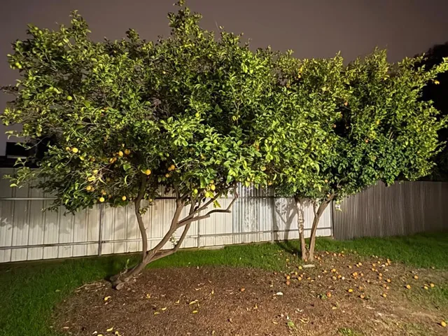 6042 Coad Lane, Riverbank, California 95367