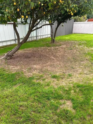 6042 Coad Lane, Riverbank, California 95367