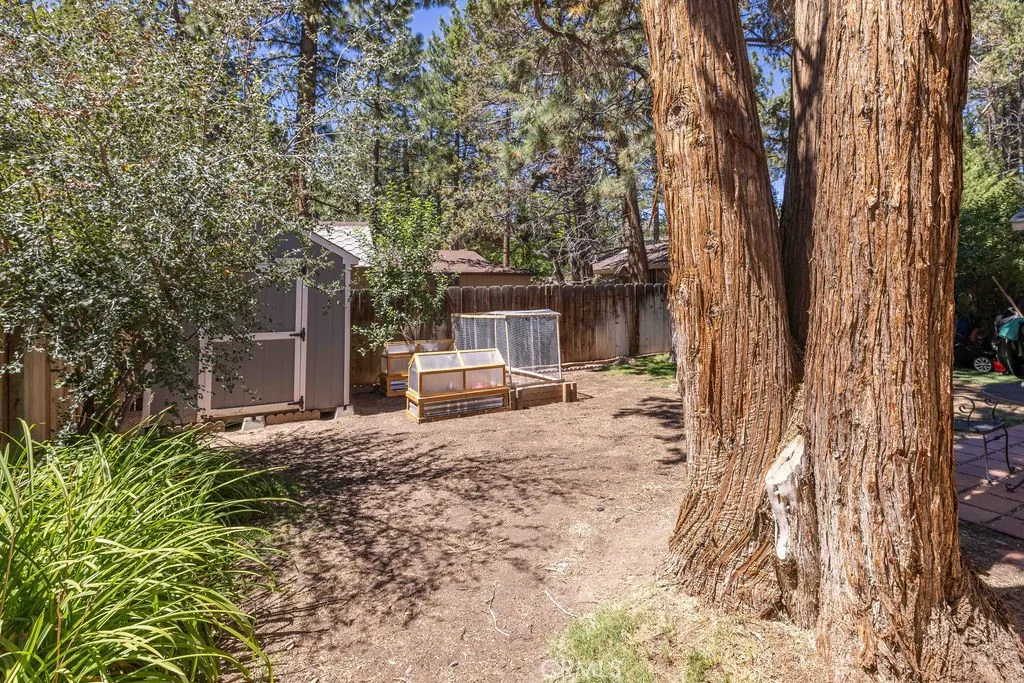 945 Tinker Bell Avenue, Big Bear City, California 92314 home-pic-33