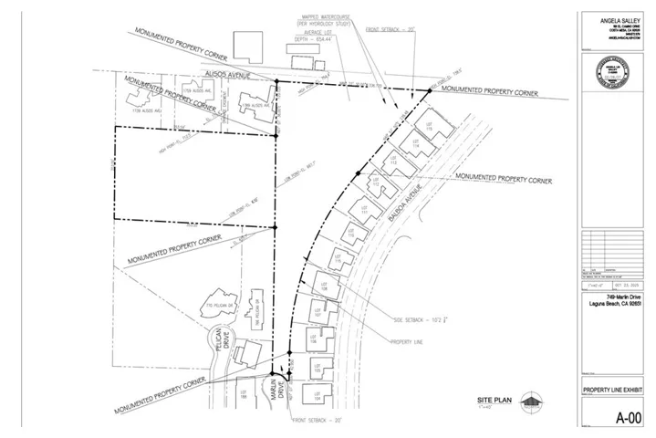 Lot lines of both AP# 656-032-03 (Triangle shaped lot) and AP# 656-032-20 (Rectangle shaped lot).