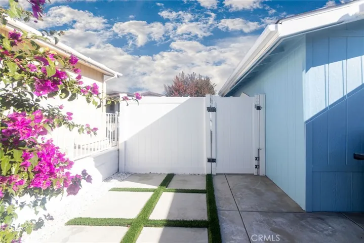 backyard 1
