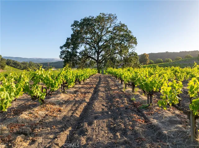 3750 W Highway 46, Templeton, California 93465
