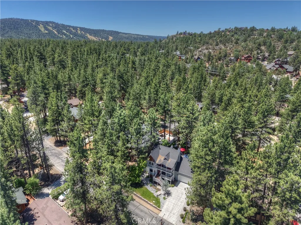 457 Woodside, Big Bear City, California 92314 home-pic-4