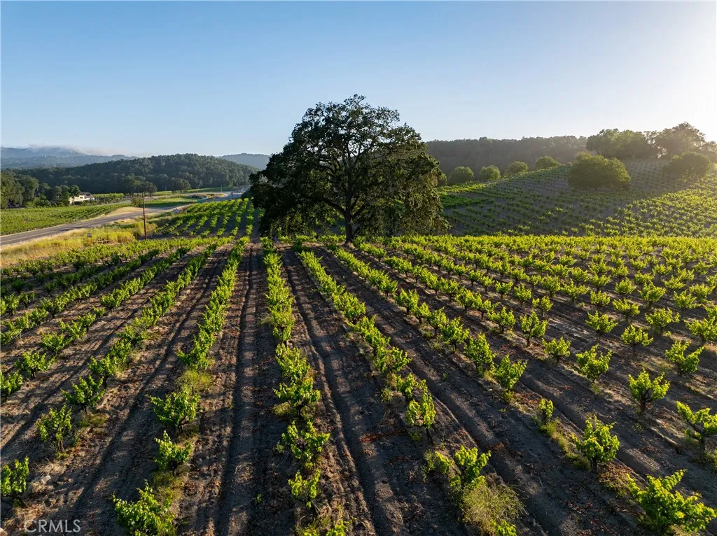 3750 W Highway 46, Templeton, California 93465 — photo 5