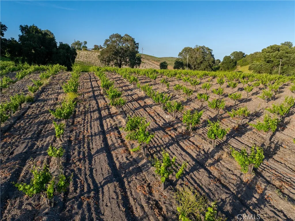 3750 W Highway 46, Templeton, California 93465 — photo 4