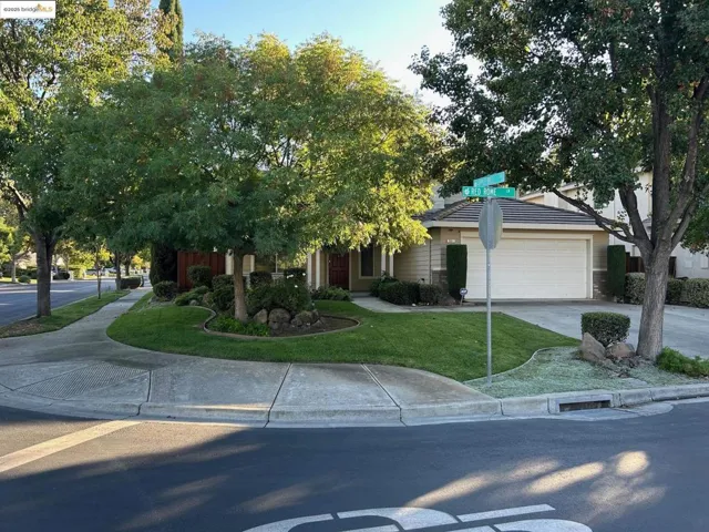 Obstructed view of property with a front lawn, driveway, and a garage