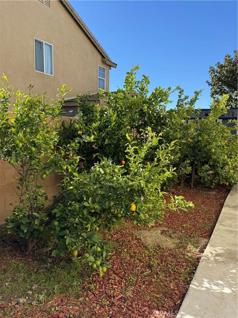7056 Calina, Eastvale, California 92880 home-pic-39
