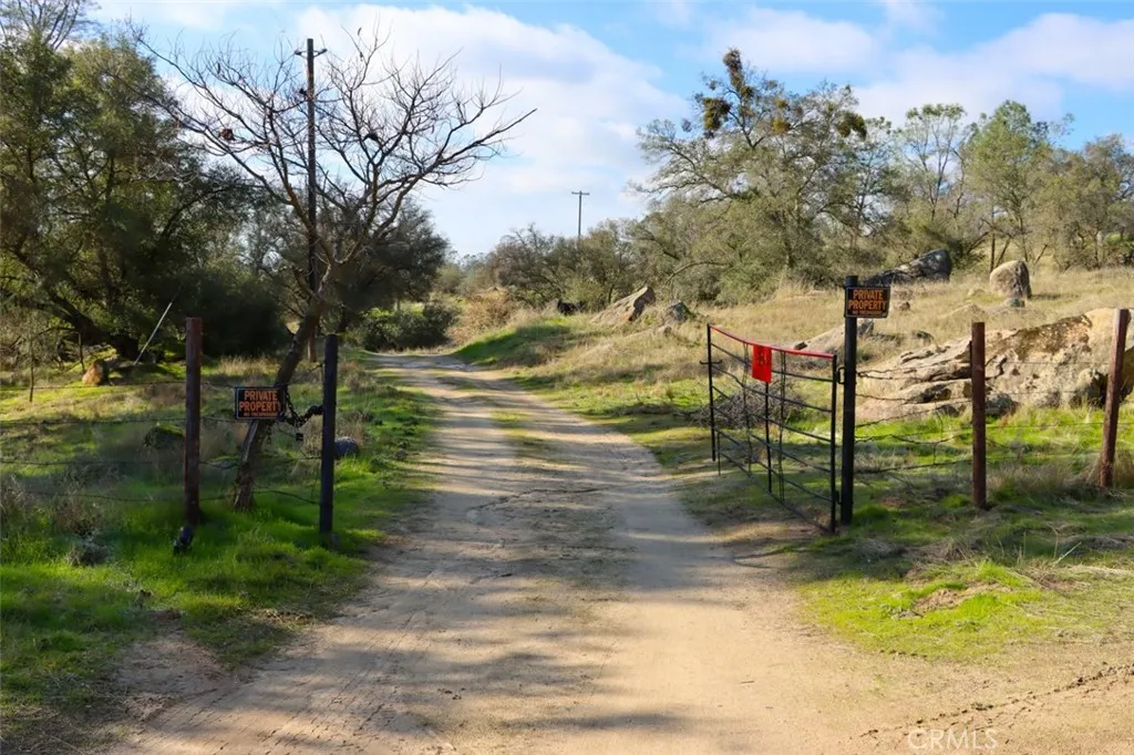 Driveway gate