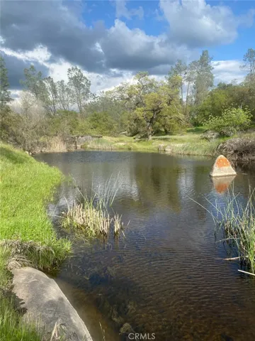 Creek