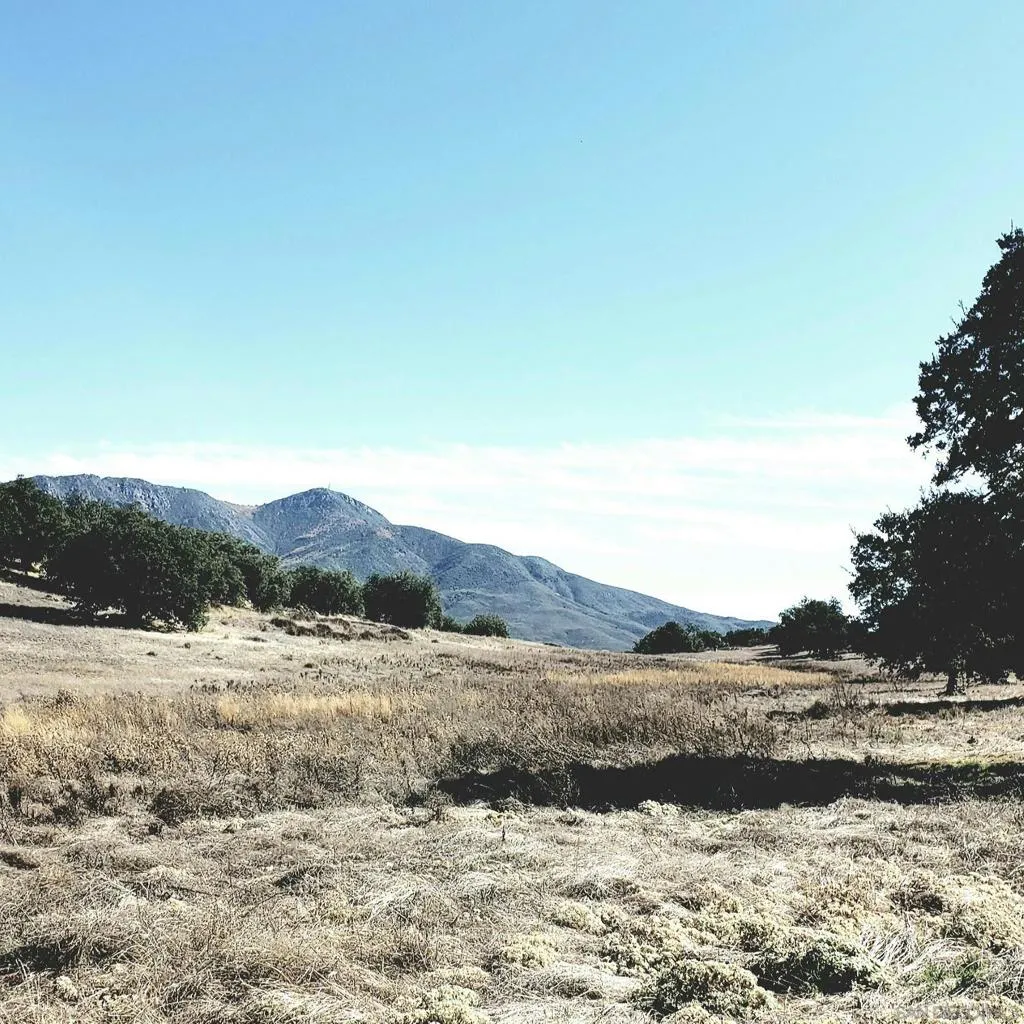 0 Tule Springs Road, Julian, California 92036 home-pic-34