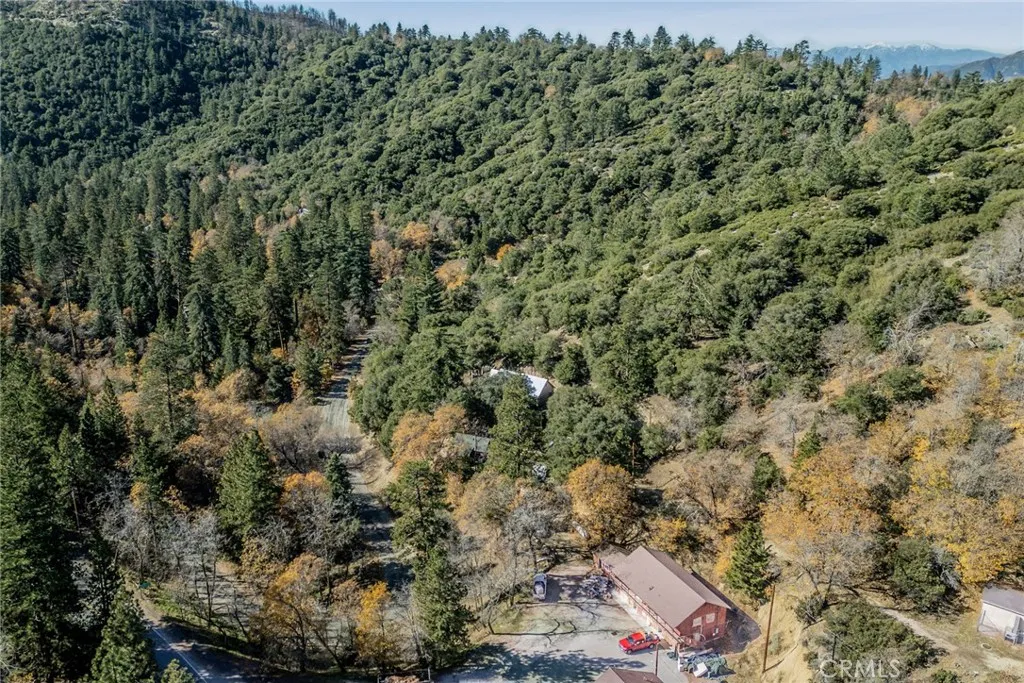 37644 Highway 38 2, Angelus Oaks, California 92305 home-pic-38