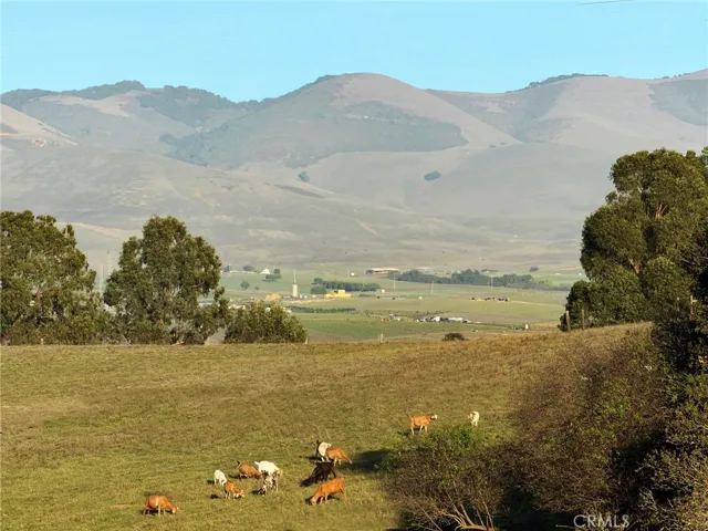 Mountain Views looking East.
