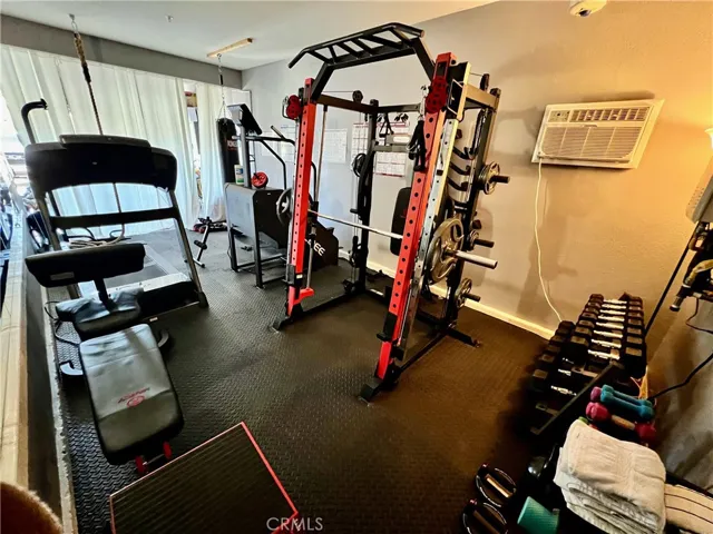 Tandem Garage Gym