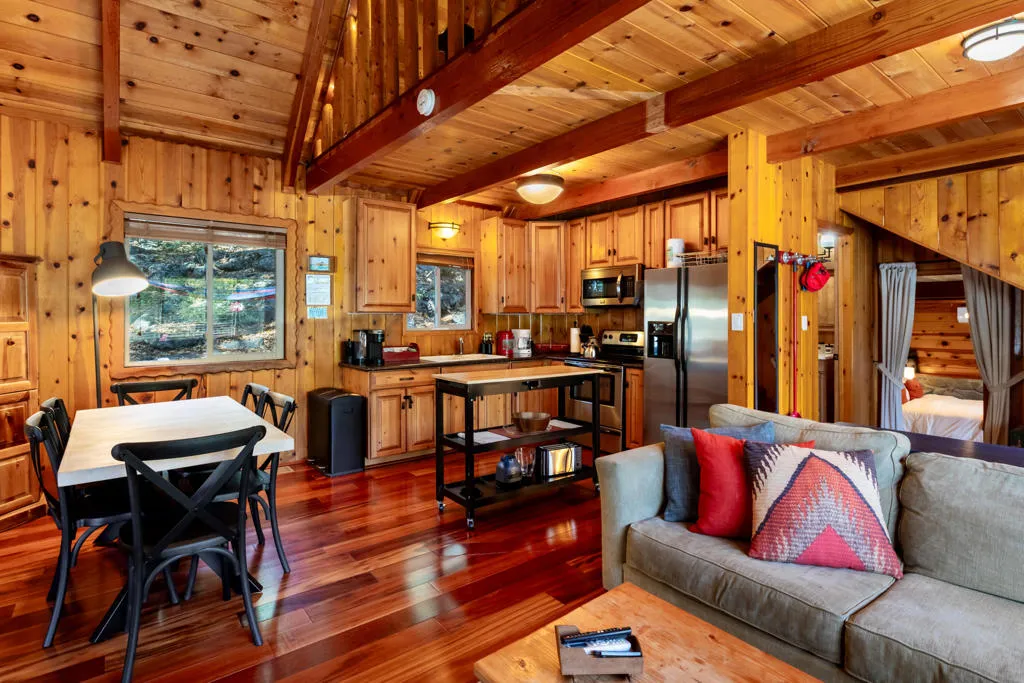 25435 Franklin Drive, Idyllwild, California 92549 home-pic-12