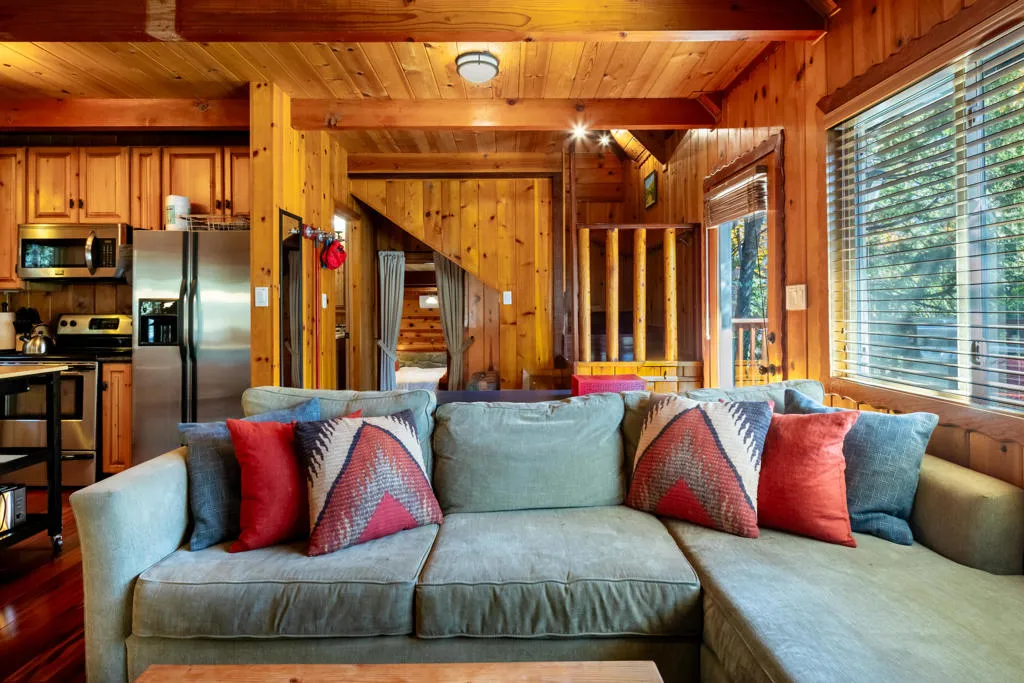 25435 Franklin Drive, Idyllwild, California 92549 home-pic-11