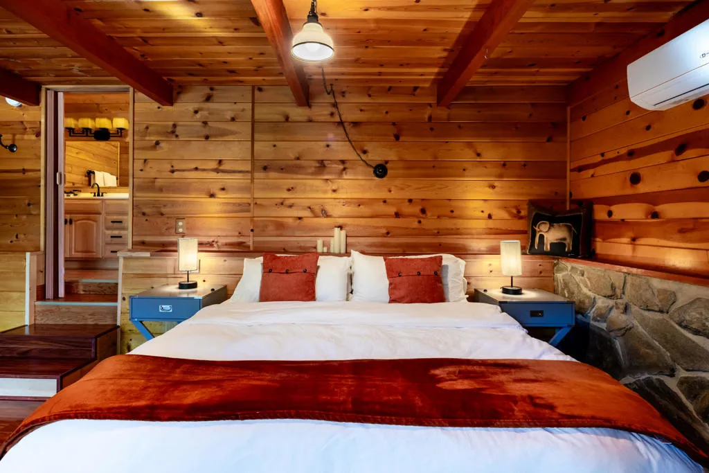25435 Franklin Drive, Idyllwild, California 92549 home-pic-18