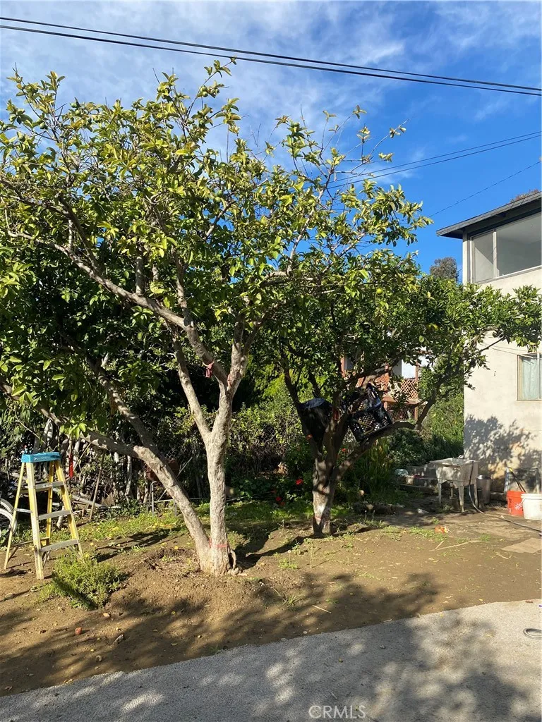 1129 N Alma, Los Angeles, California 90063 home-pic-24