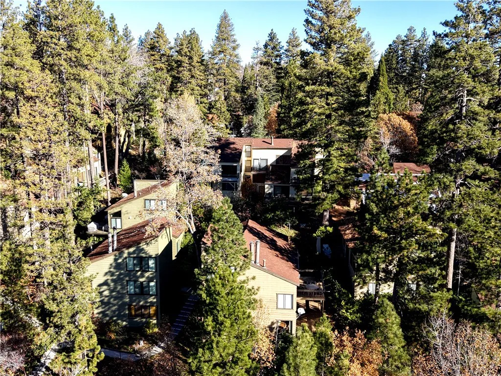 27657 Peninsula Drive, Lake Arrowhead, California 92352 home-pic-47