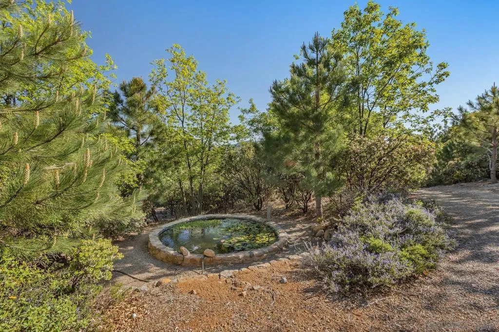 35750 Mountain Circle Dr, Julian, California 92036 home-pic-41