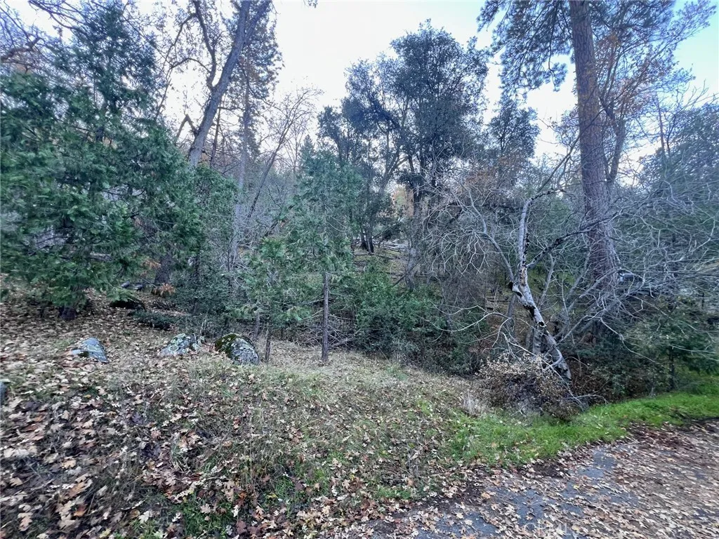 0 Snowy Creek Way