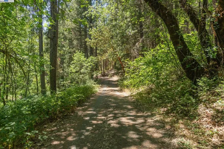 4298 Little Browns Creek Rd, Weaverville, California 96093