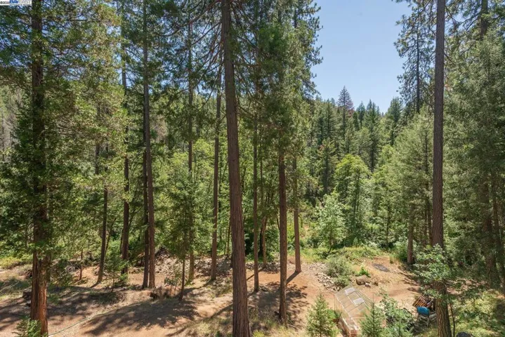 4298 Little Browns Creek Rd, Weaverville, California 96093