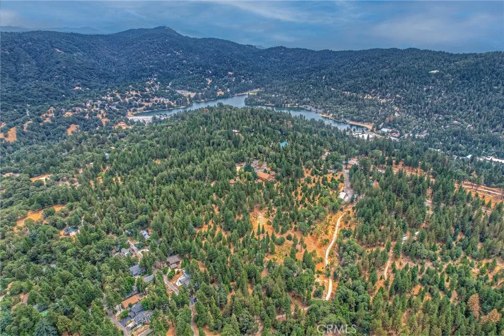 120 Pine Ridge Road, Crestline, California 92325 home-pic-11