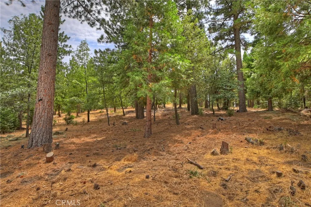 120 Pine Ridge Road, Crestline, California 92325 home-pic-49