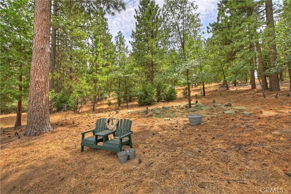 120 Pine Ridge Road, Crestline, California 92325 home-pic-50
