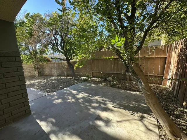 Back yard 6