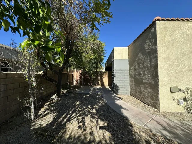 Back yard 2